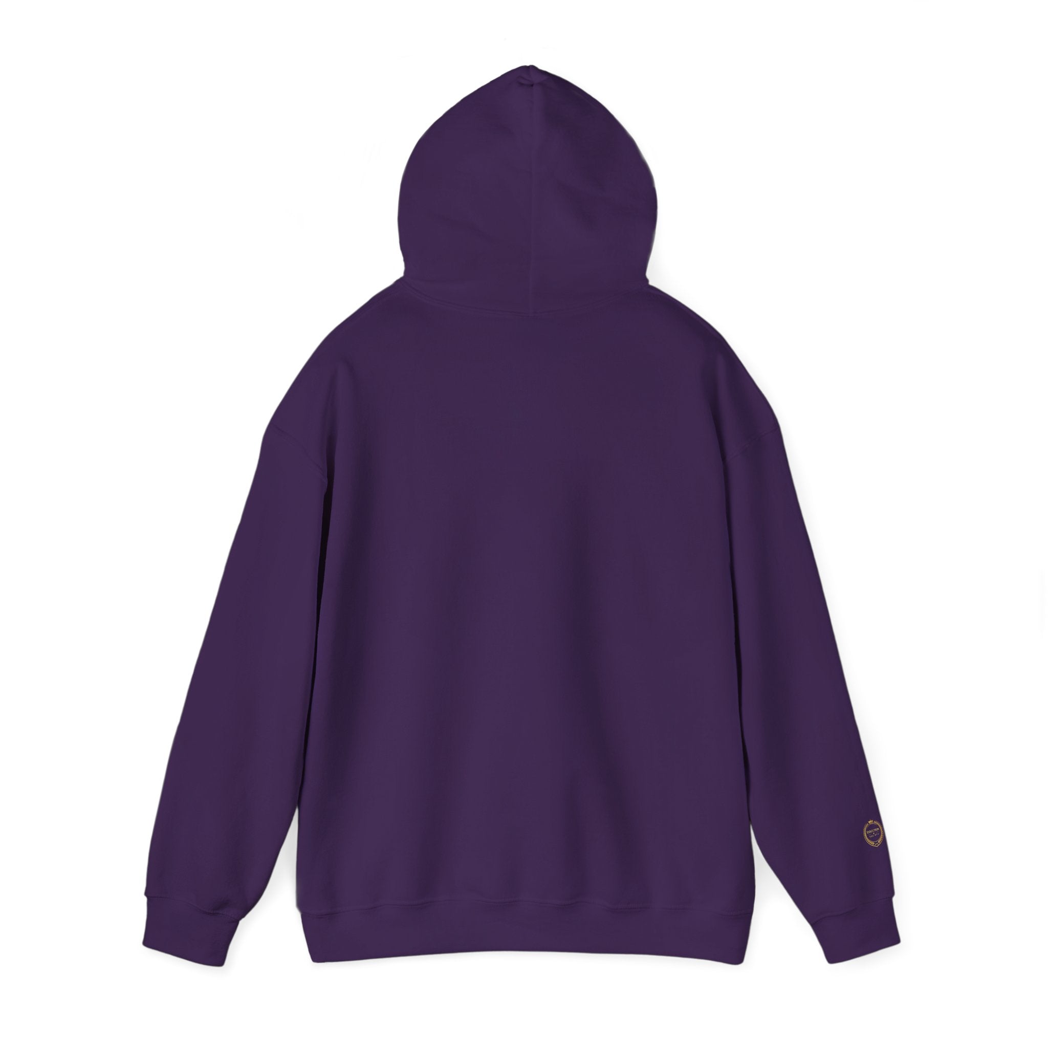 “NOT LUCKLY DISCIPLINED.” Execution Society Hoodie
