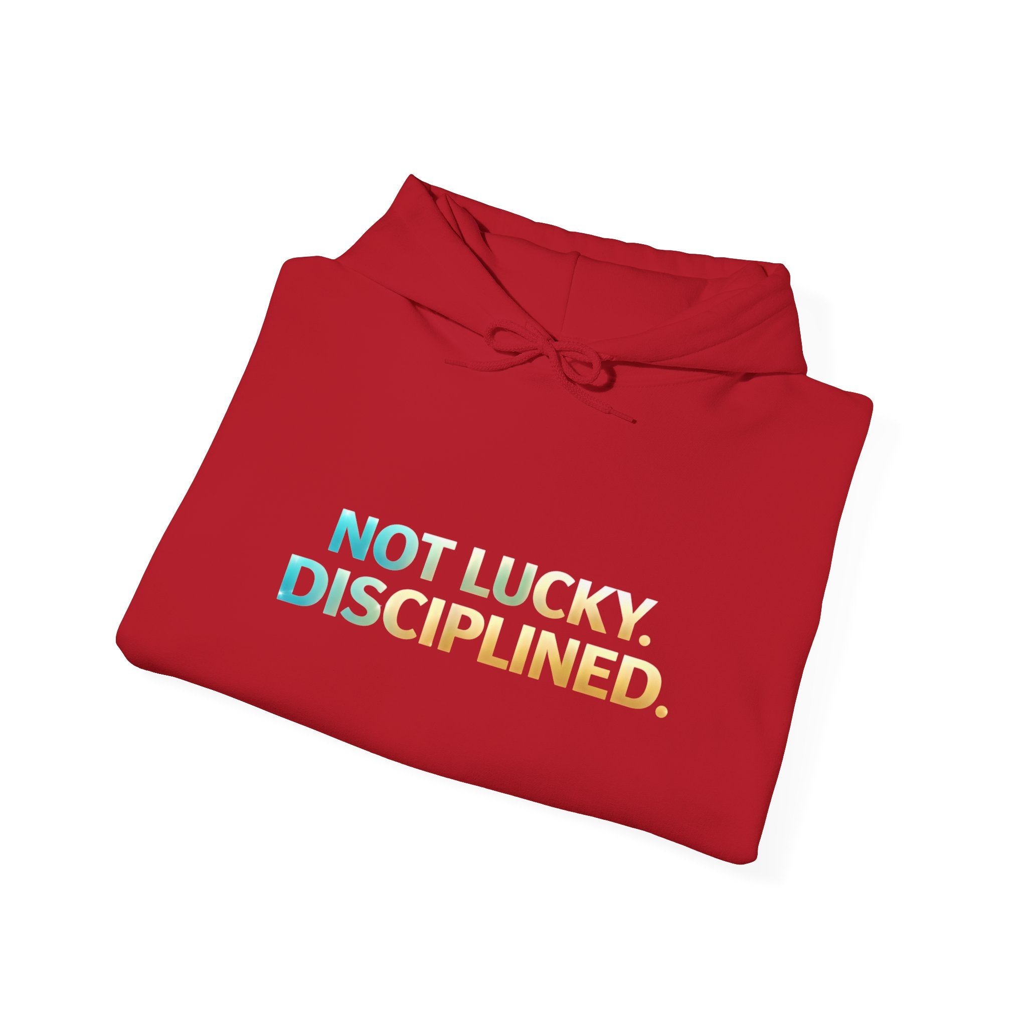 “NOT LUCKLY DISCIPLINED.” Execution Society Hoodie