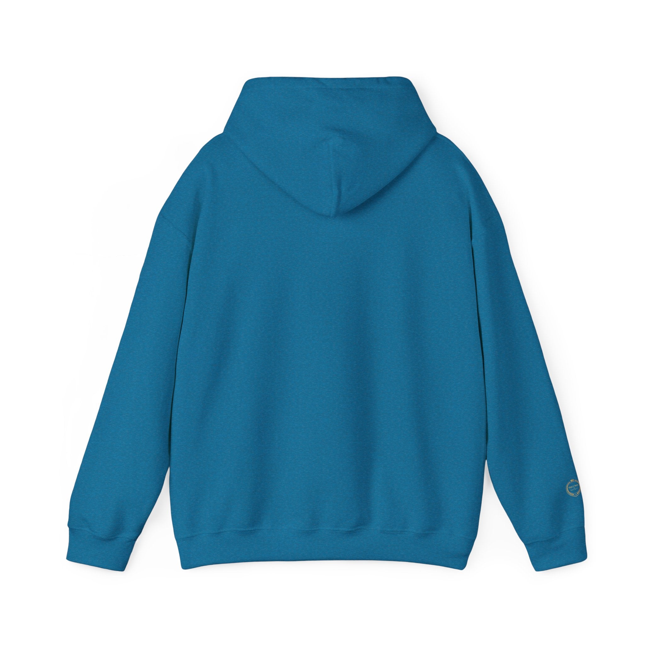“NOT LUCKLY DISCIPLINED.” Execution Society Hoodie