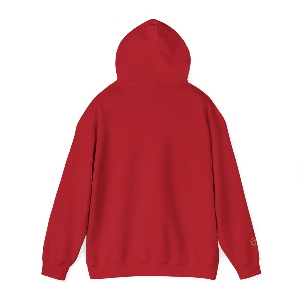 “NOT LUCKLY DISCIPLINED.” Execution Society Hoodie