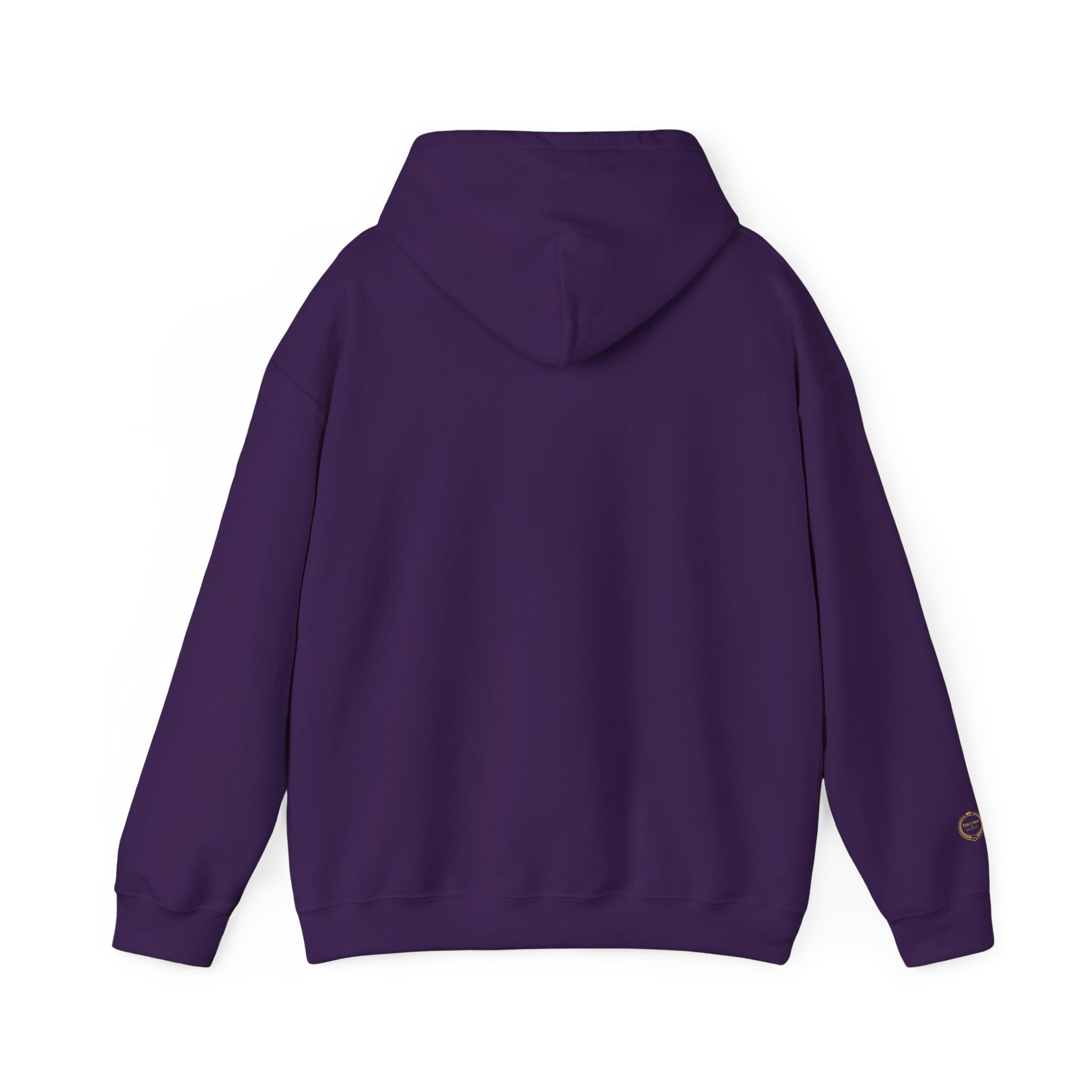 “NOT LUCKLY DISCIPLINED.” Execution Society Hoodie